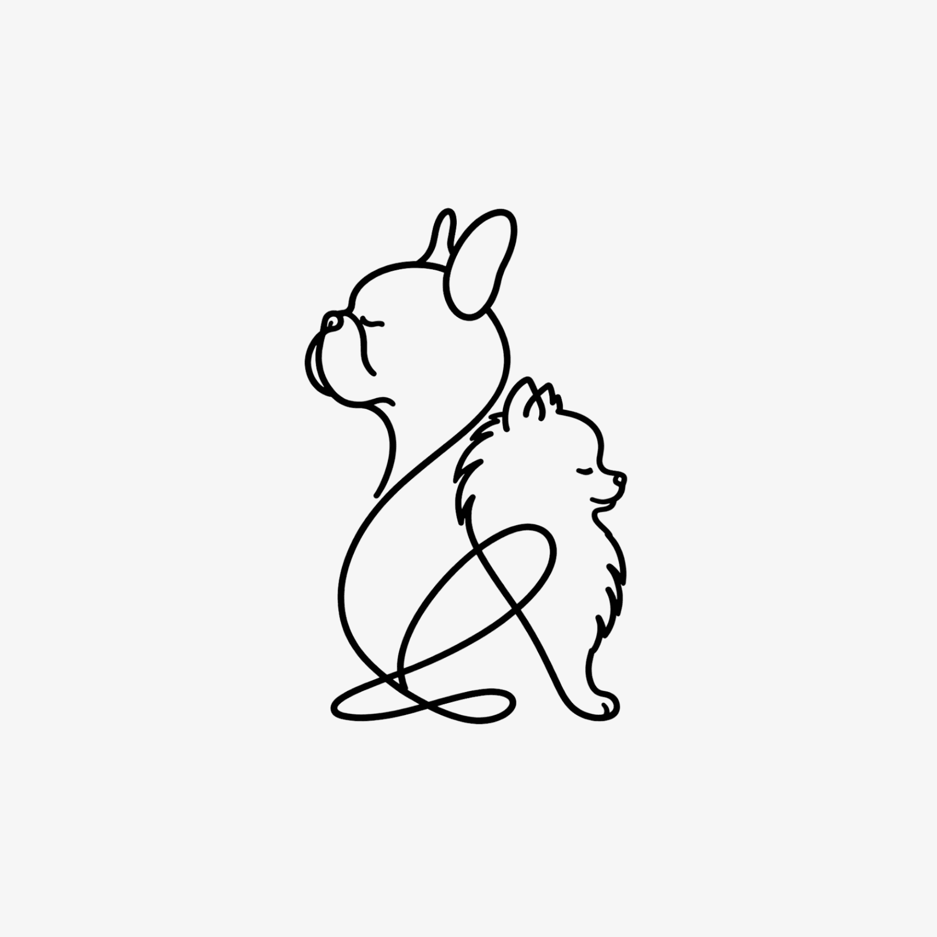Tijú - Design Pet