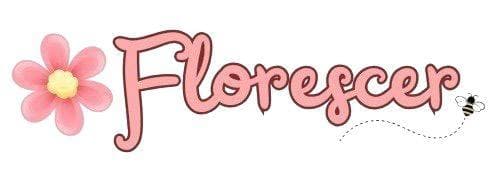 Florescer Moda Kids