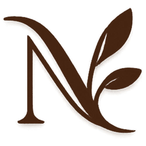 Nilce Store